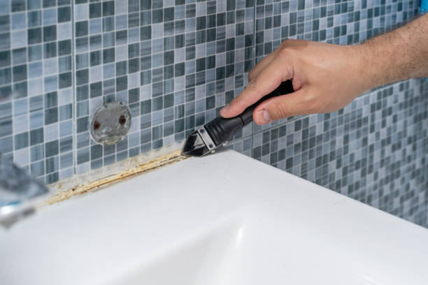Best Home Mold Removal  in Poland, OH