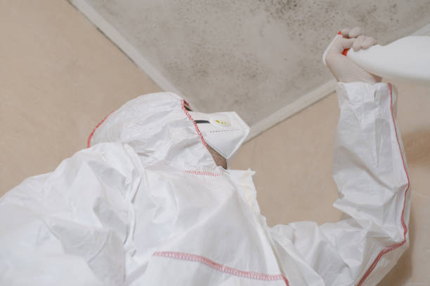 Best Water Damage Restoration  in Poland, OH