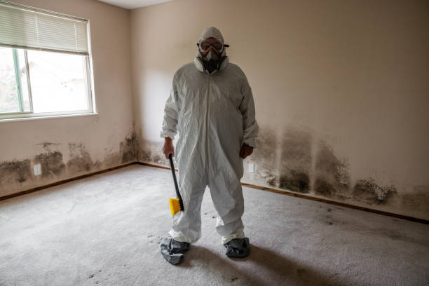 Certified Mold Removal in Poland, OH